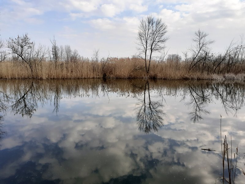 Slika