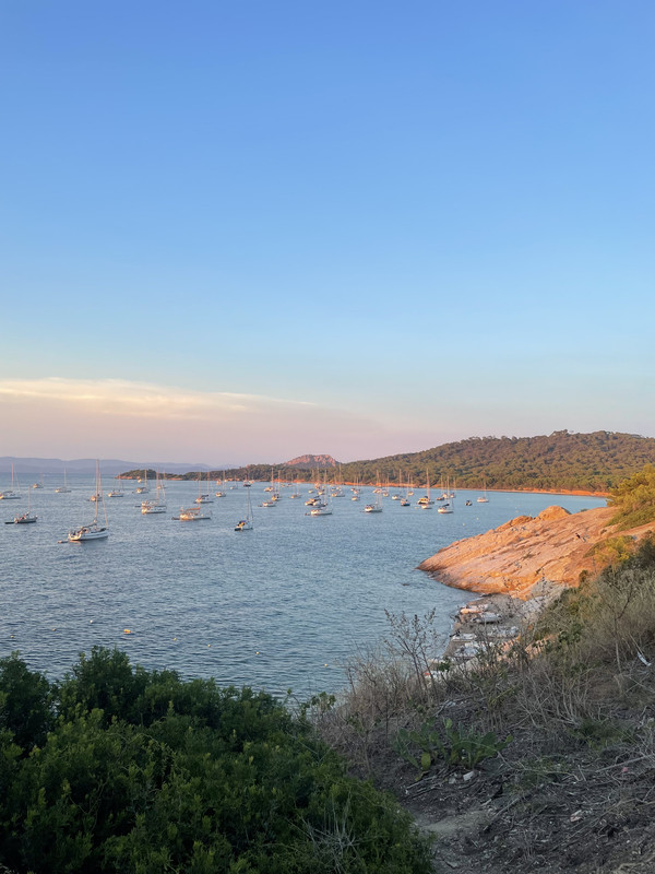 0D8FD81F-3188-4799-81AA-8AD70C906B17