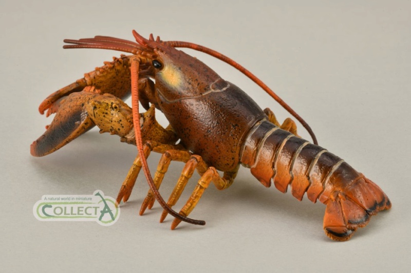2021 STS Sealife Figure of the Year, time for your choices! Collect-A-2021-Lobster