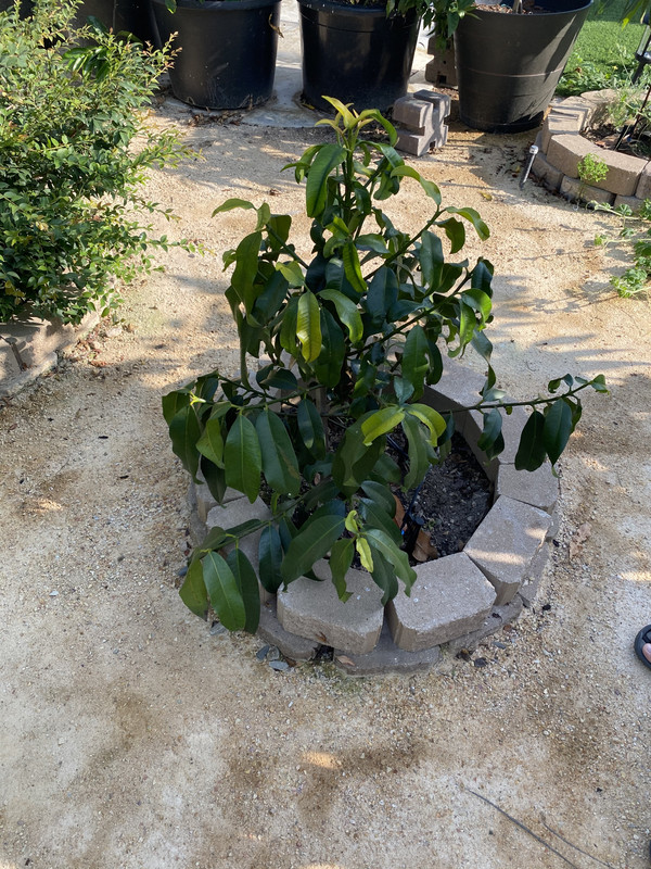 39AD87E1-5FBC-4FA9-BBAF-AD1E3C7C6014