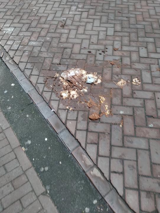 IMG 20260228 081304285