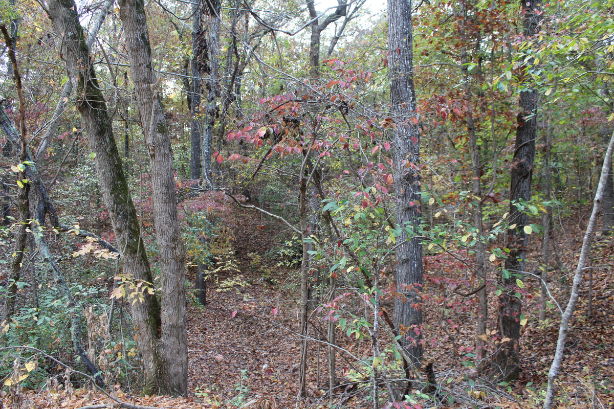 "Own Your Slice of Arkansas Paradise! 0.23 Acres Near Golf, Lake, and Marina - Your Dream Haven Awaits!"