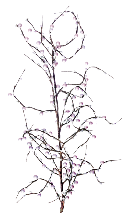 WINTER LOVE_DBJ-ELEM (24)