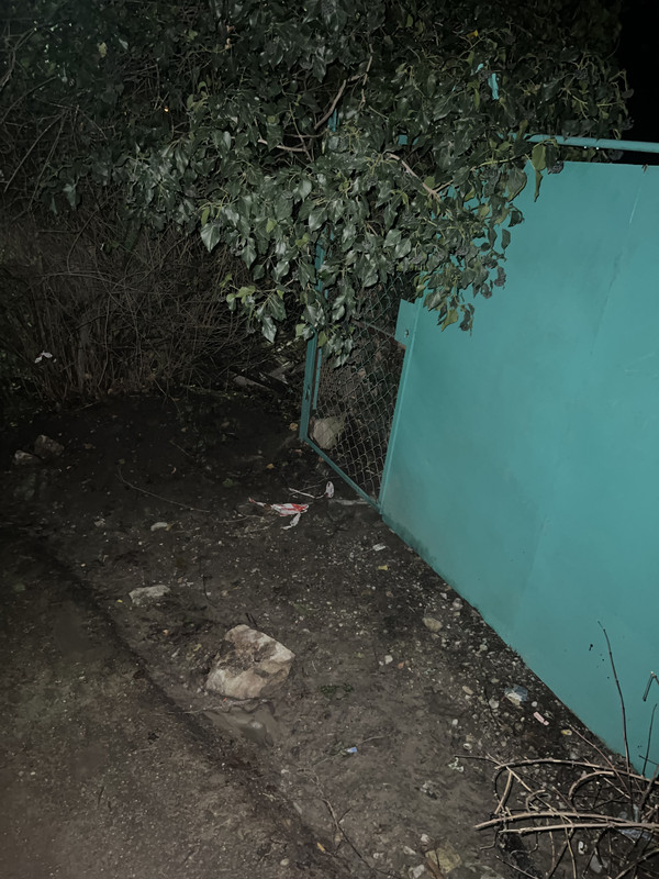 3B0DDA1D 8913 4644 A533 F7619FDCB8A1