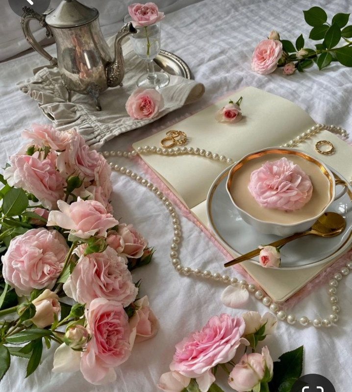 Screenshot_20230905_012541_Pinterest