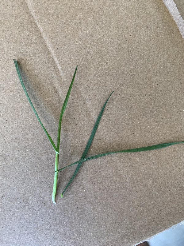 36B3E36C-B795-4AB4-9D50-BB688DCF8E9D