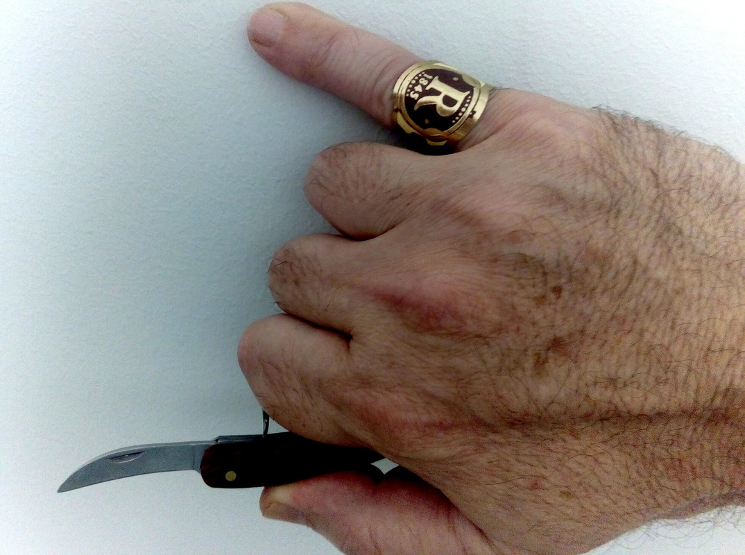 IMG_20200703_144827_555[1]