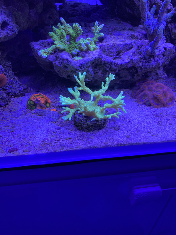 32E53365-8971-48A3-90AF-45B903E34381