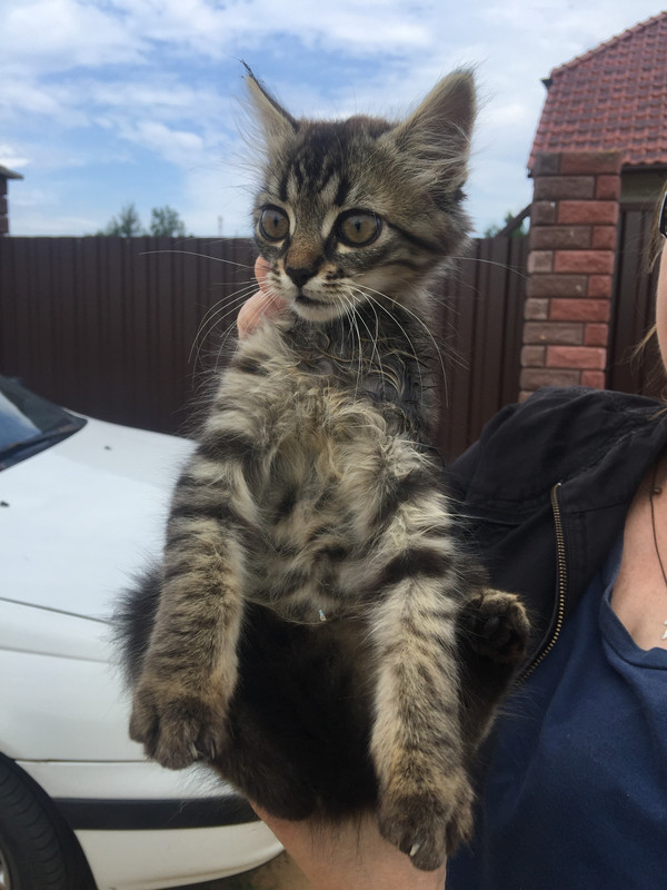 70031FD0-9614-4107-87F9-2E1253672141