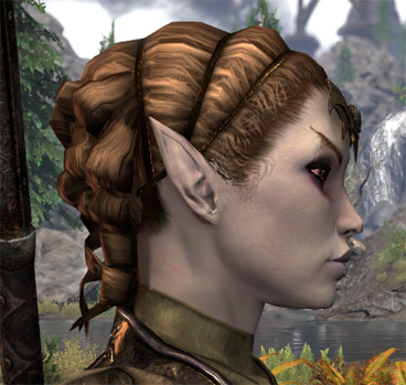 side.png