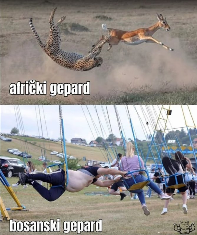 bosanski-gepard.jpg