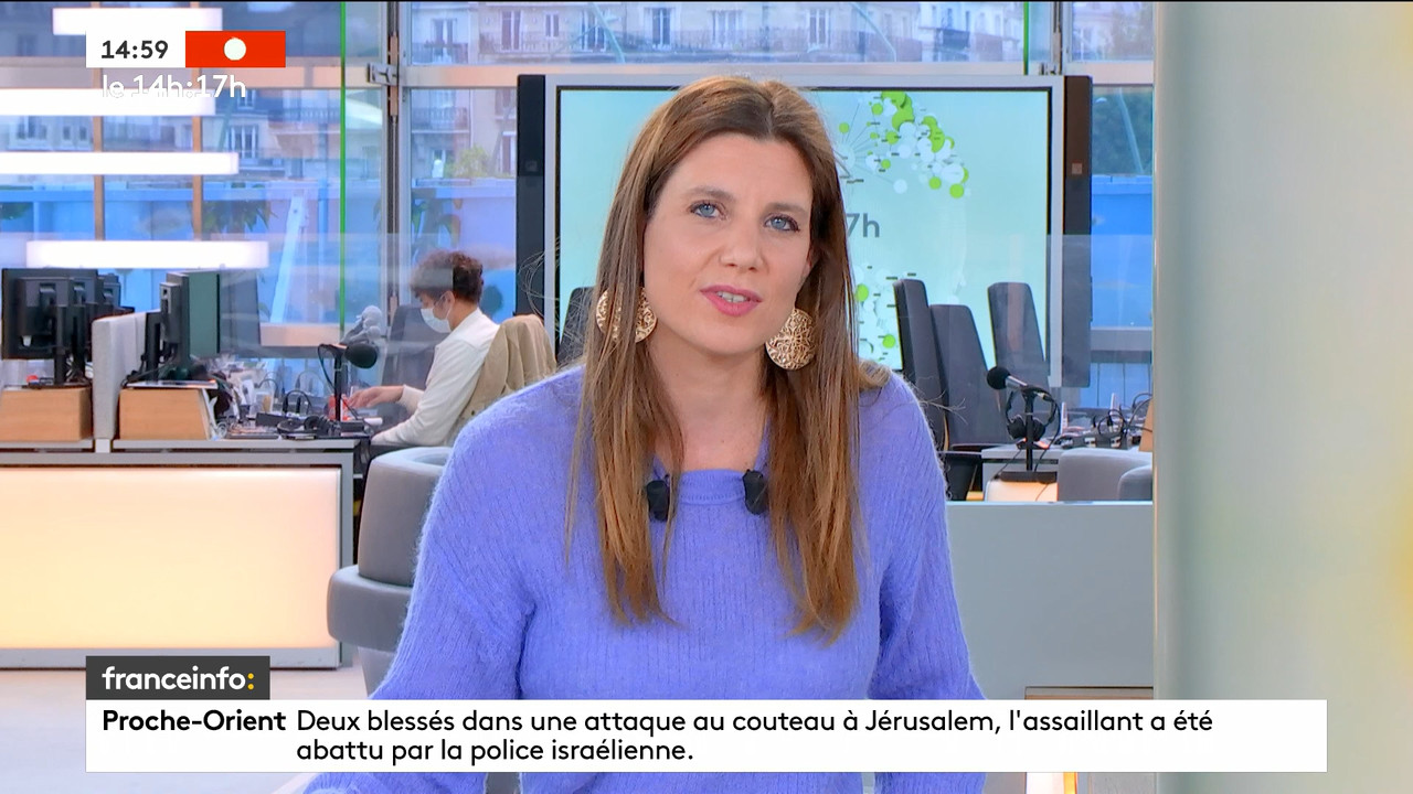 05.24 - 12.59.00 - Le 14h-17h. Au sommaire   Vrai ou fake. - francein..._001.ts_snapshot_05.59.183