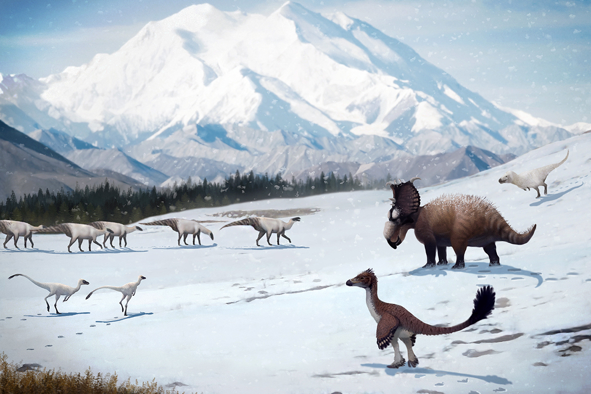 Ausgestorben oder ausgedacht? Tiere die es nicht (mehr) gibt! - Seite 3 Alaska2