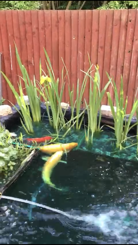 9DA71C91-D547-4C4A-B183-979A30AFAA96