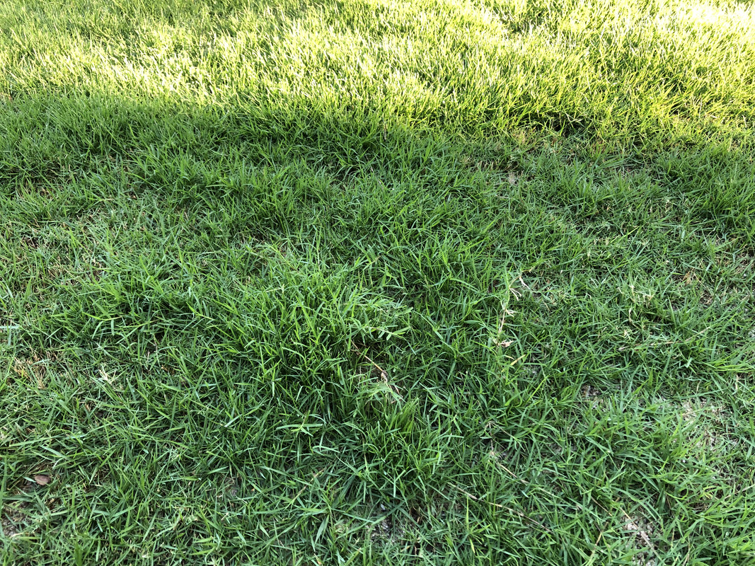 59517364-D2BA-4CA7-86C9-9E87BBBAA0DC