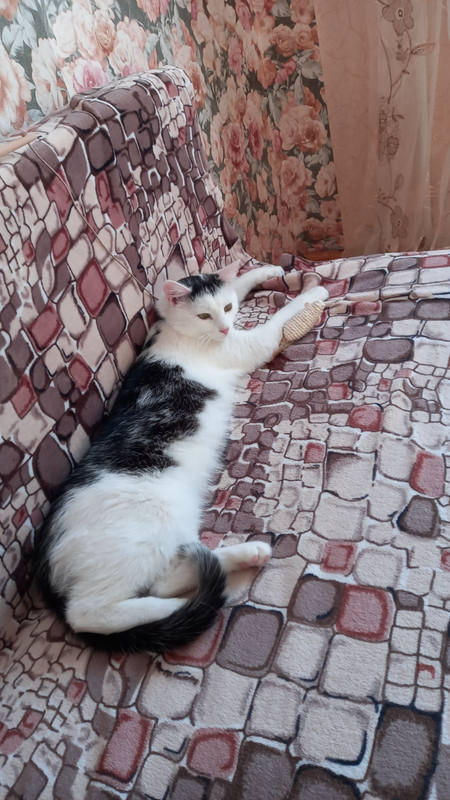 IMG-f1c54c41ddb49230dfdb3c9bb7f257af-V