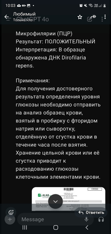 Screenshot_20240921-100318_WhatsApp