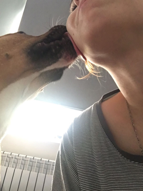 3992BBB8-5DCF-4111-A8B1-6990DFB4B0DB