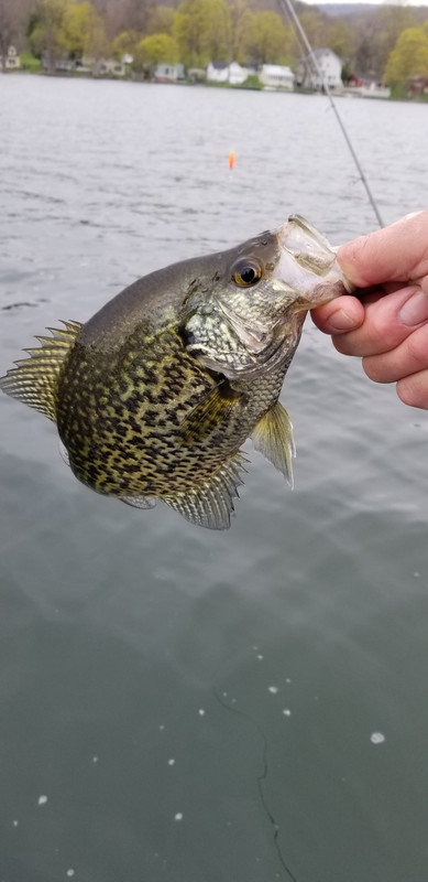20190430_115046