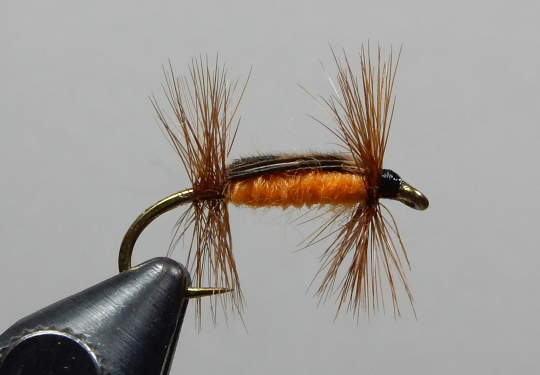 March Flies From the Vise - Page 5 - The Fly Tying Bench - Fly Tying