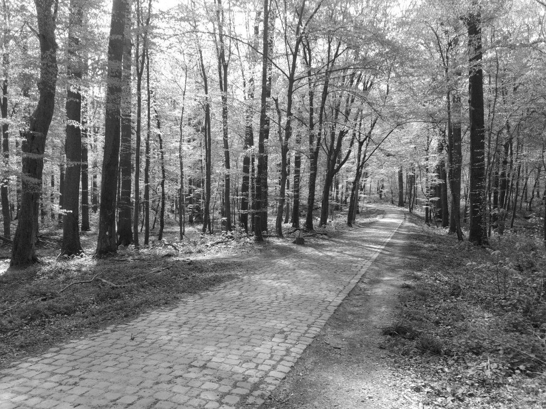 photo_2020-04-15_22-57-47