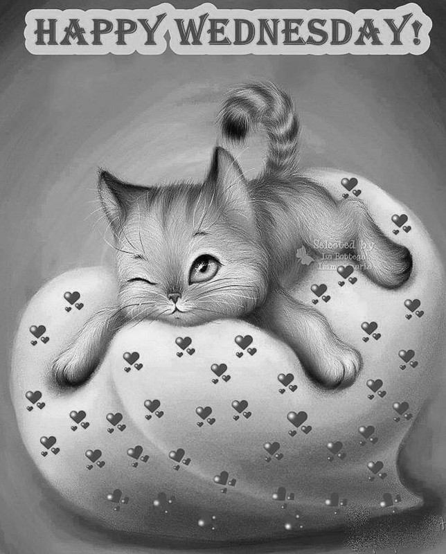 a3e1d61294165a09222736215bfa3cfe