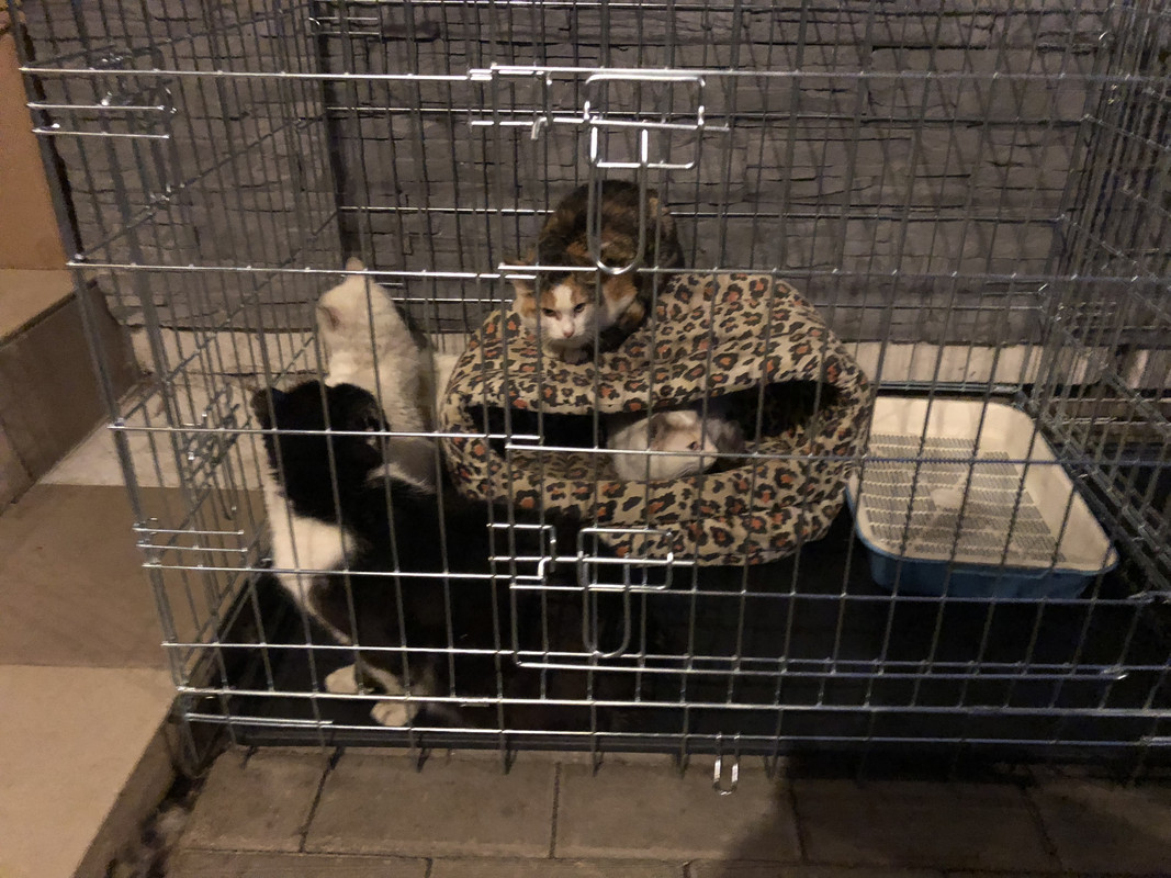 5A304192-E9D5-44EE-8413-592284A5706A