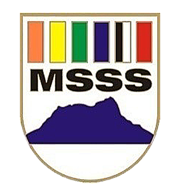 Logo MSSM