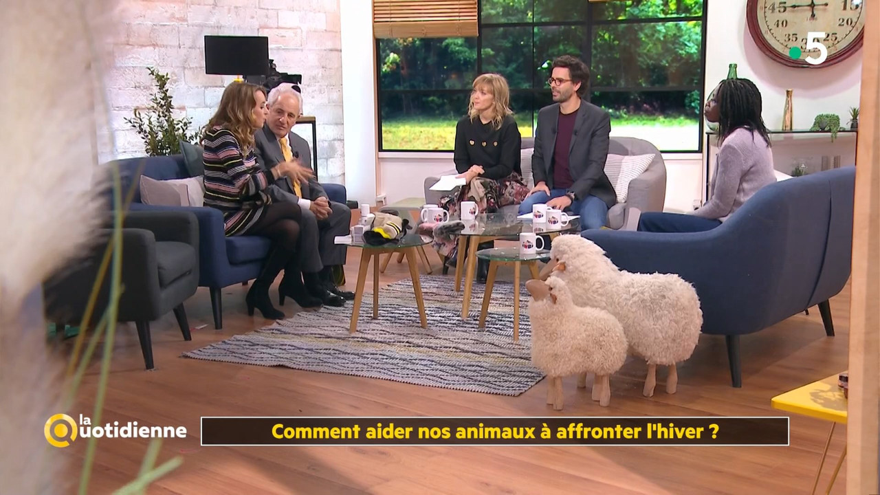 08 January - 10.45.00 - La quotidienne. Consommation solidaire e
