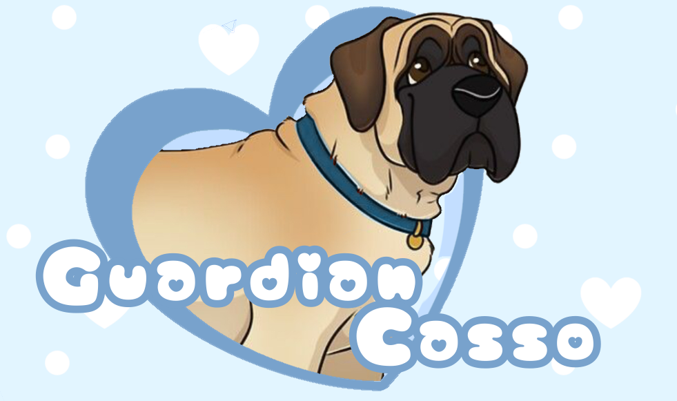 terriers.png