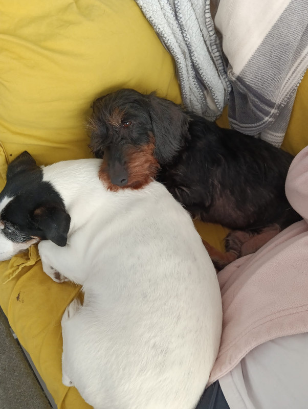 [Image: IMG-20231003-WA0013.jpg]