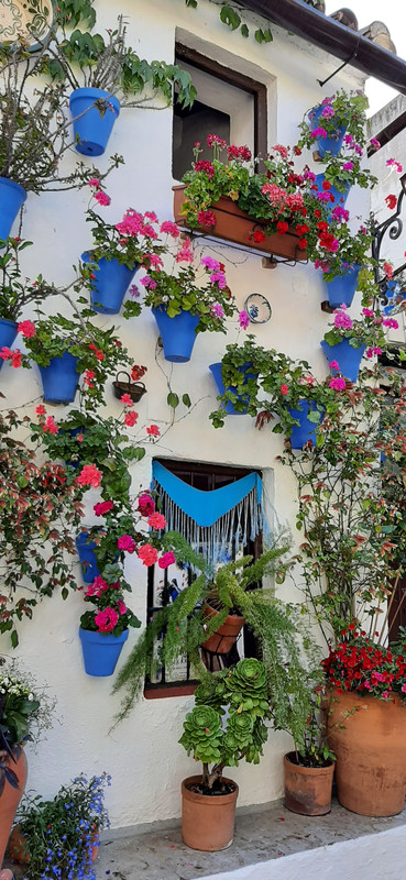 Fiesta Patios de Córdoba 2021 ✈️ Foro Andalucía