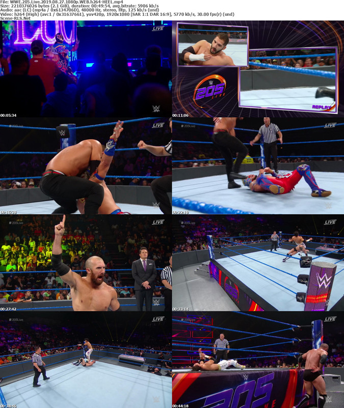 WWE 205 Live