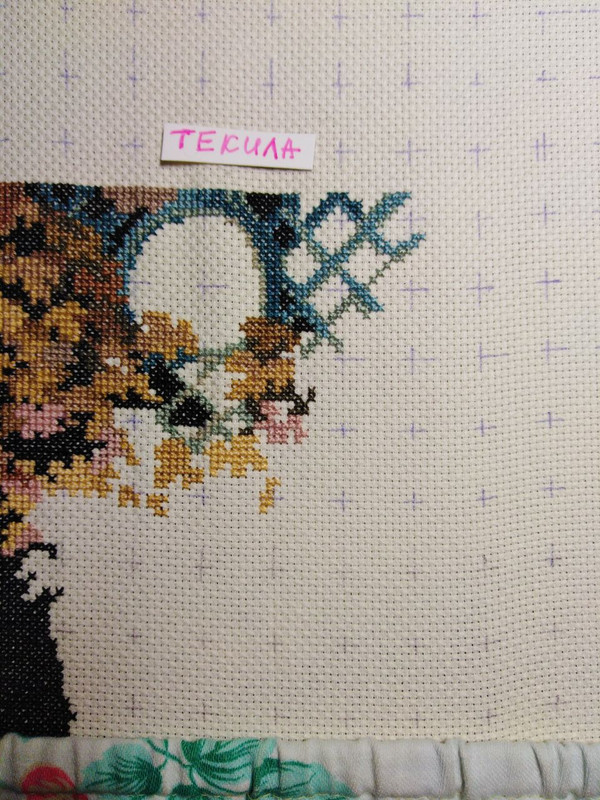 IMG 20260223 131201 181