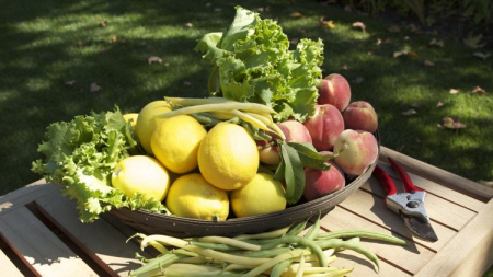 Vegetable Gardening: How to Grow Healthy, Fresh Food at Home Vegetable Gardening: How to Grow Healthy, Fresh Food at Home