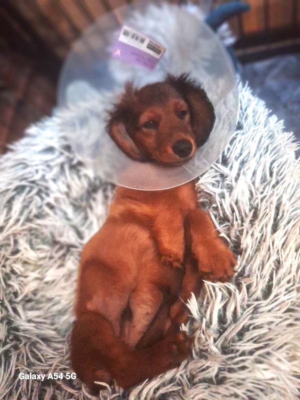 [Image: 20240917-213720.jpg]