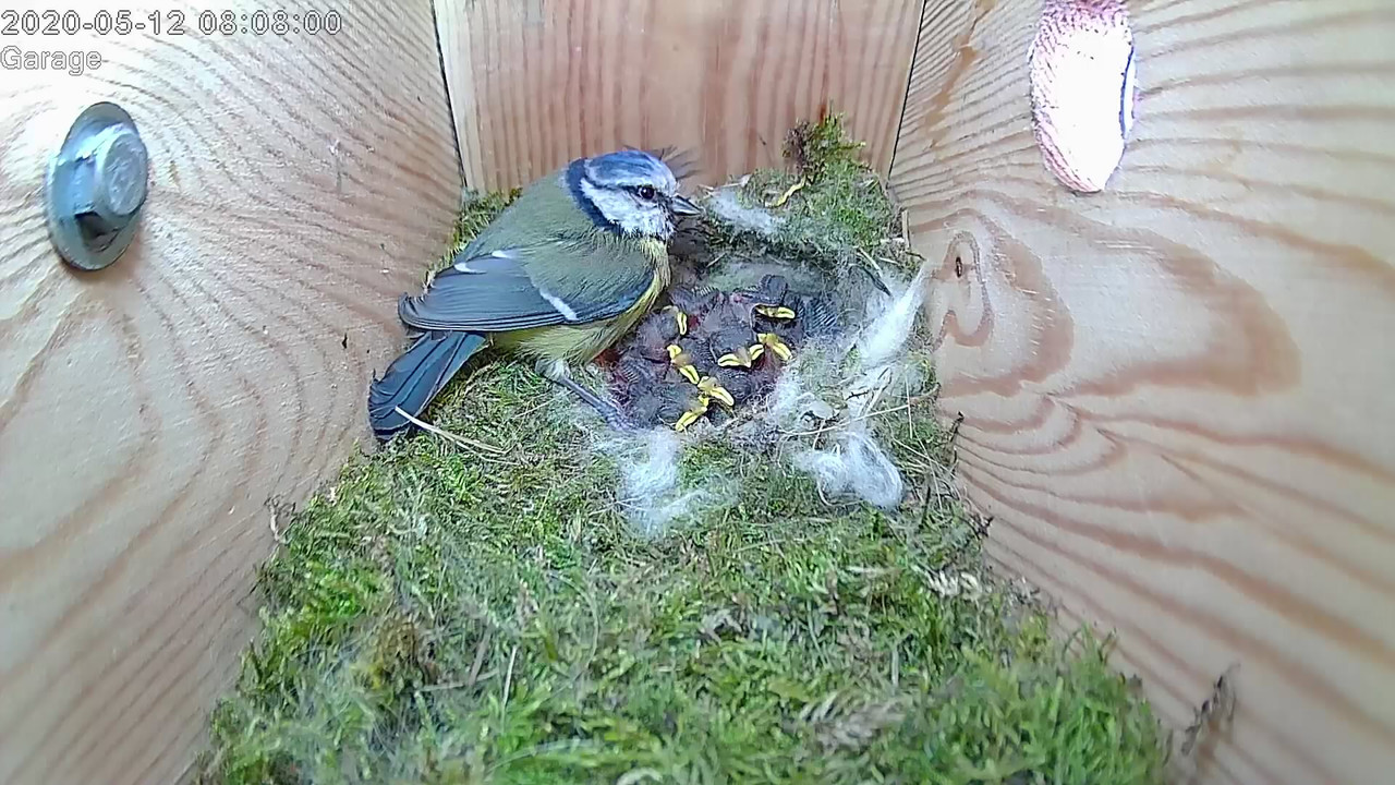 29D0BBA5-1D18-4960-8D8D-B644D4CEC981