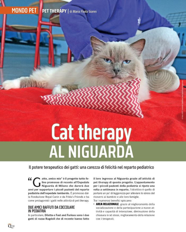 QuattroZampe Feb 2024 (1)