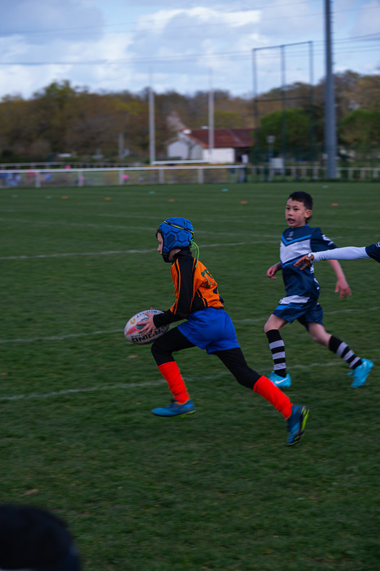 tournoi-de-latlantique-2026-adonis-griffon-105-55180400187-l