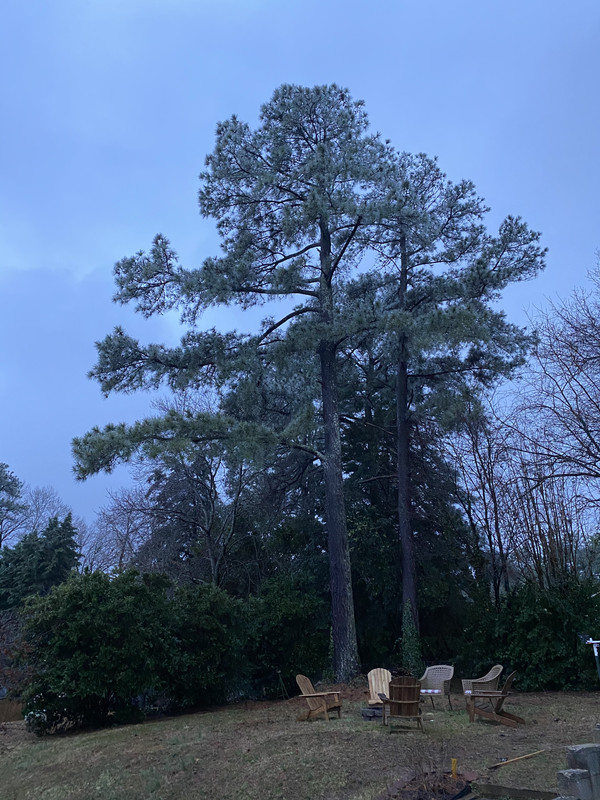 011B9432-DCDD-42C7-92E4-CB3855497D48