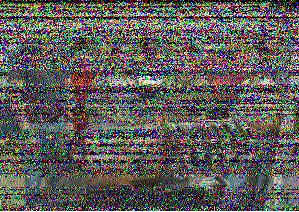 171916L JUN 2017