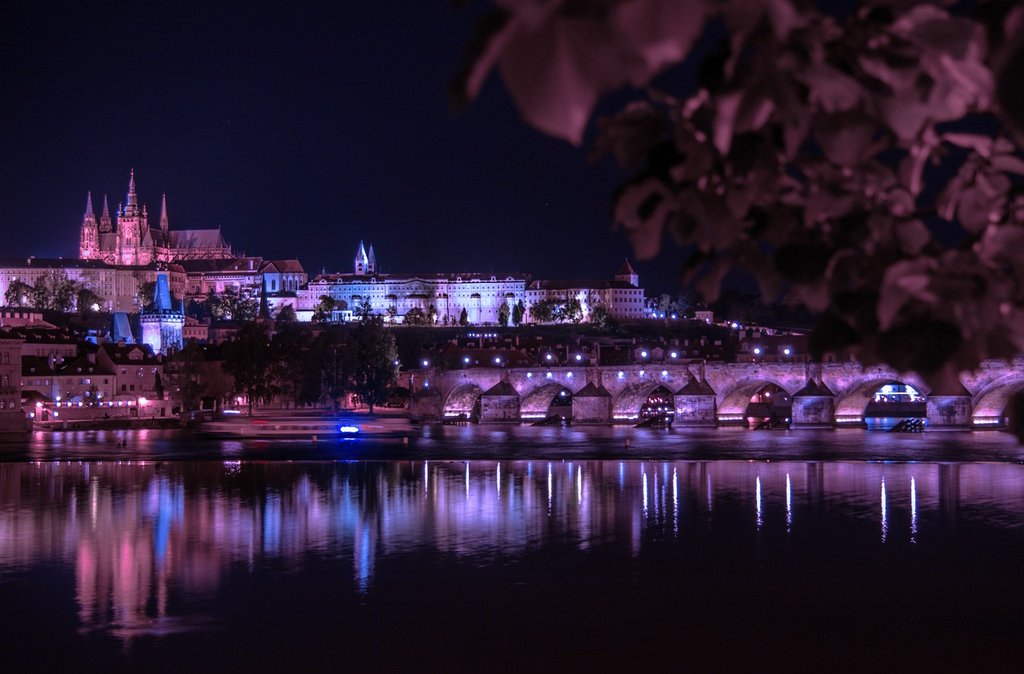 purple-prague-2371441-1280.jpg