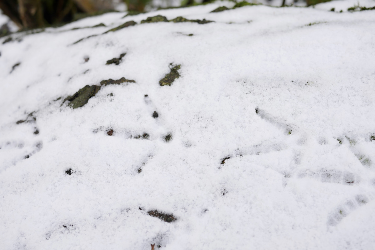 CF1F373A-ACBB-4024-90EC-1D9E32B3FDEE