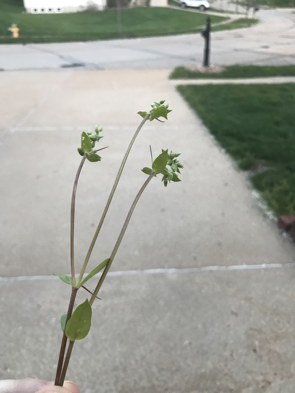 5437A148-389F-40CB-A763-CD8B4887FE3E