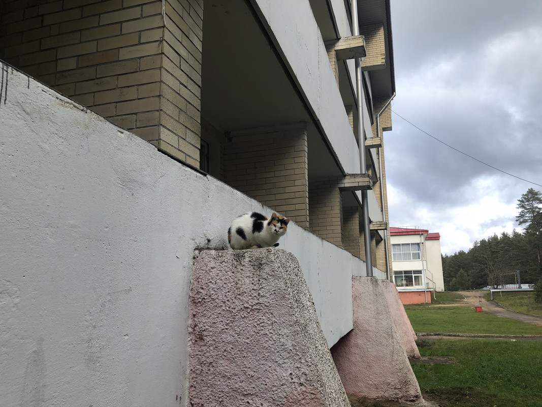 0C5F5ED0-D312-4376-B50B-F2E3BFF97658