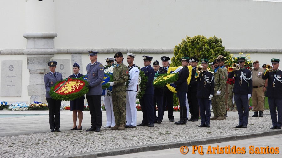 505774956-2427589530956557-1373746203478642900-n