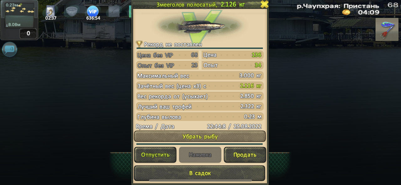 923-E2-A92-E547-4-CB3-81-F7-FA228-EA13-C