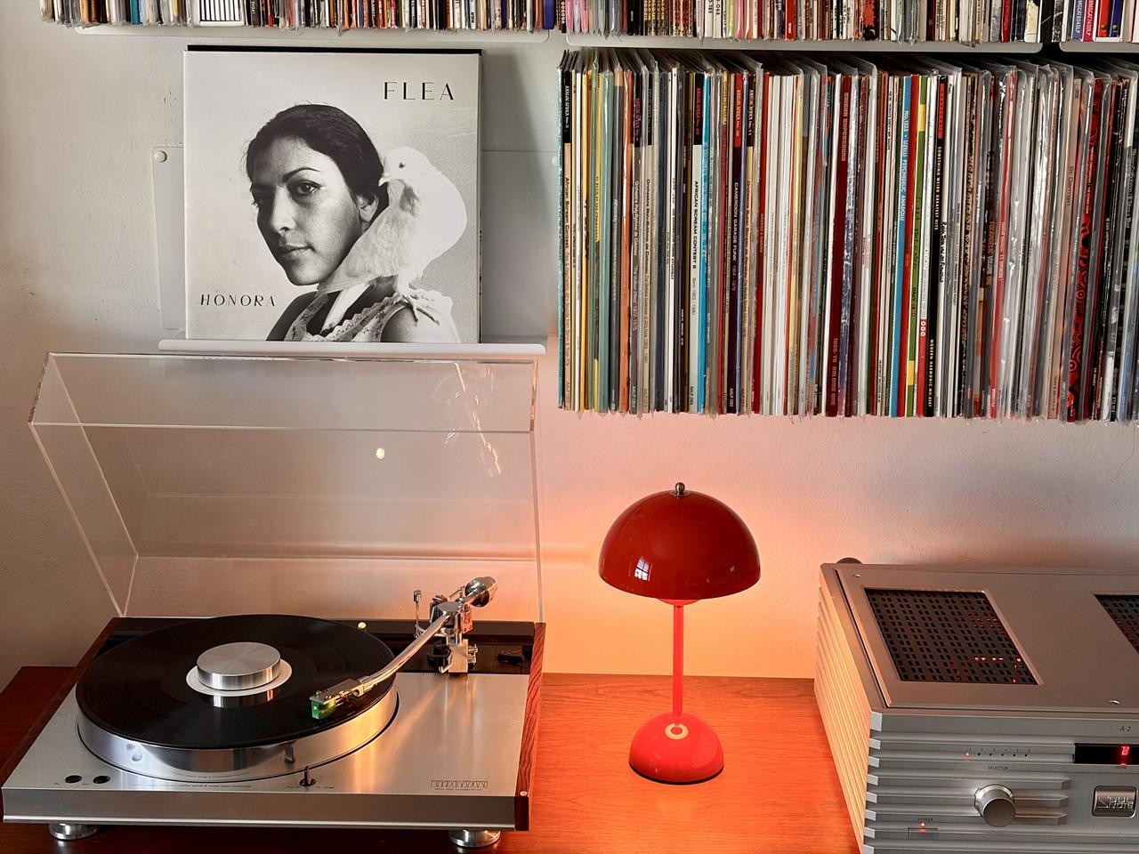 [Bild: IMG-7221.jpg]