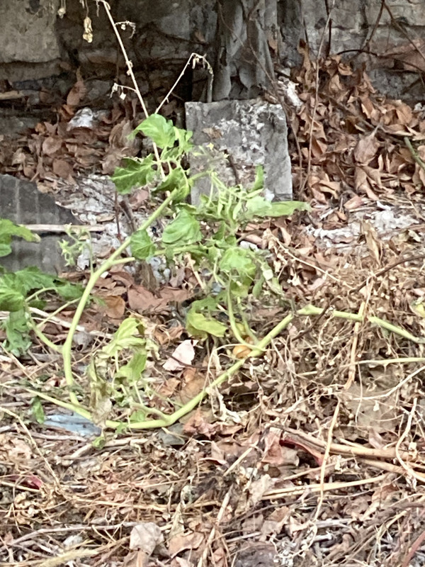 D6C6B49F-0978-4C42-ACA7-6A1E8AF1EBC3