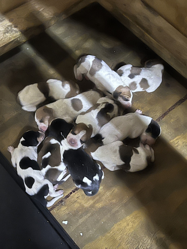 4EBA58BA-3DBF-42F2-A003-7DF58D0C25AE